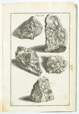 Wolfart, Historiae naturalis Hassiae inferioris