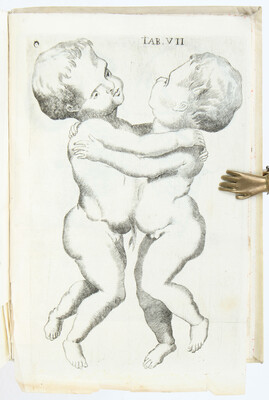 Vallisnieri, Istoria dell'uomo, e degli animali