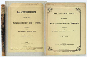 Feistmantel, Böhmen / 3 Bde.