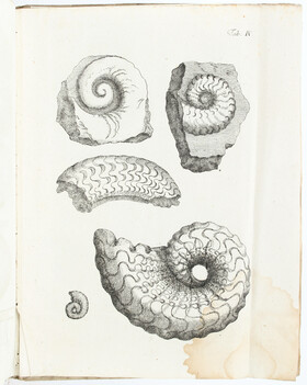 Leibniz, Protogaea / Schott, Physica curiosa. 2 Bde.