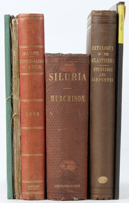 Konvolut Paläontologie. 1867-1896 / 6 Bde.