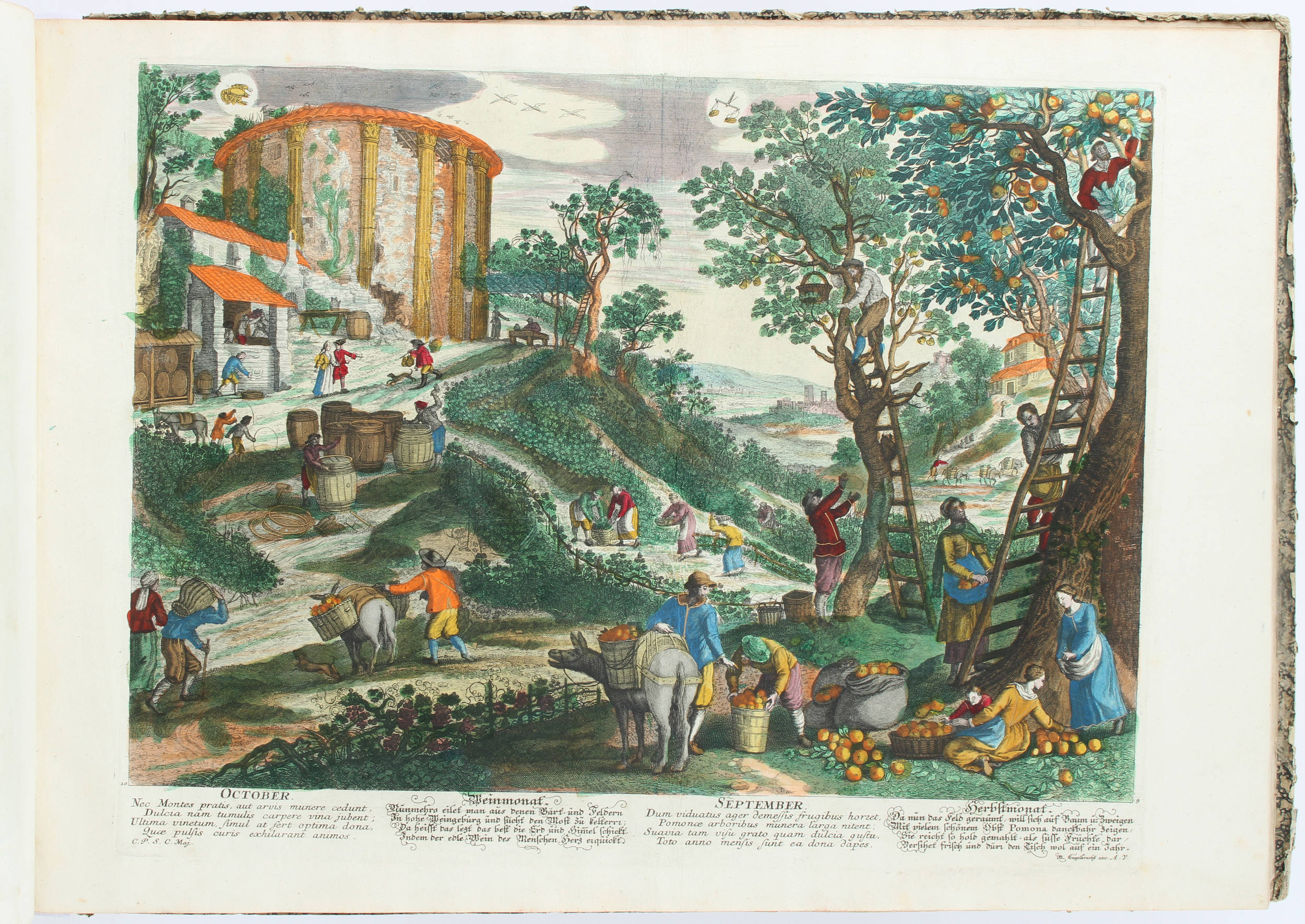 Wolff, Sammelband mit 61 Tafeln