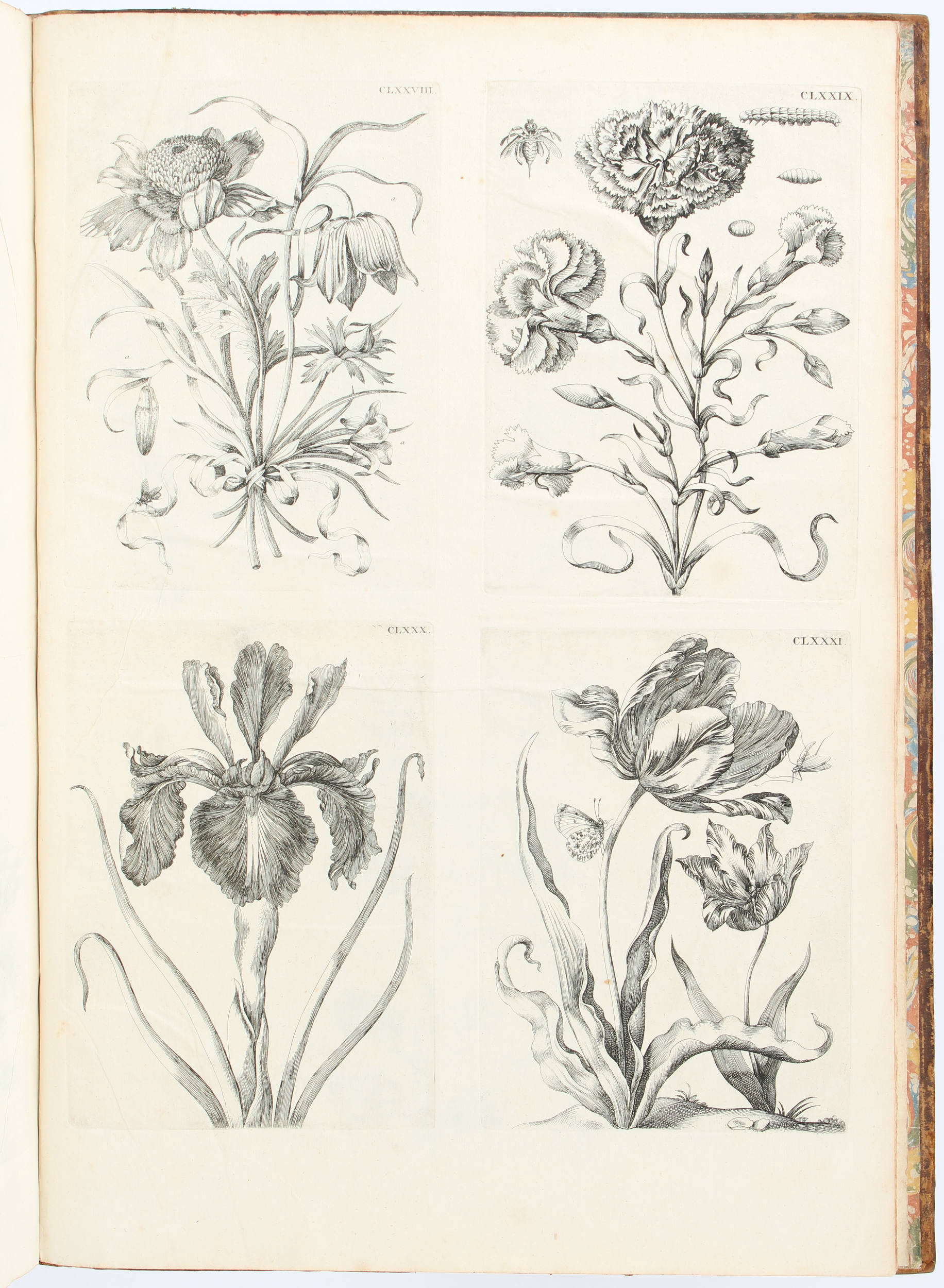 Merian, Insectes de l'Europe