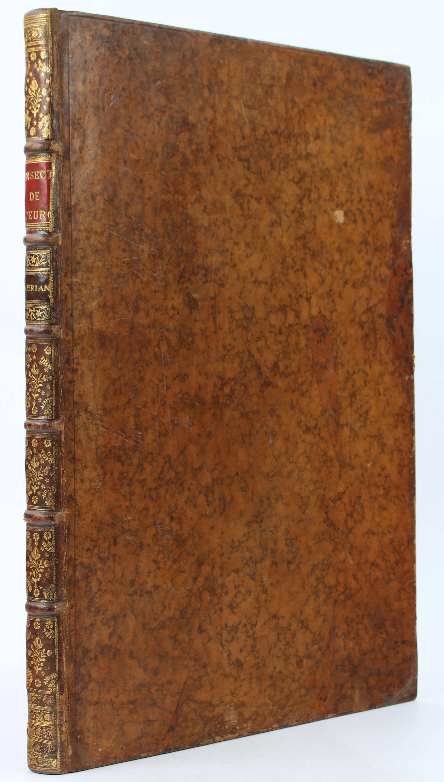 Merian, Insectes de l'Europe