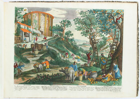 Wolff, Sammelband mit 61 Tafeln