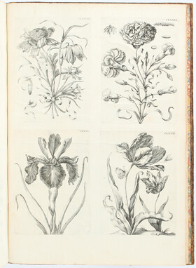 Merian, Insectes de l'Europe