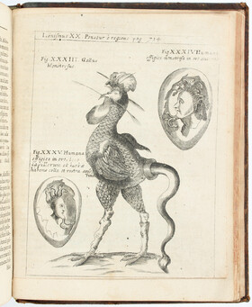Schott, Physica curiosa. 2 Bde.