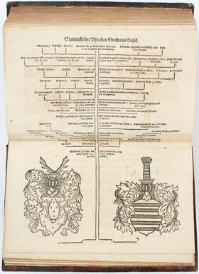 Letzner, Dasselische Chronica
