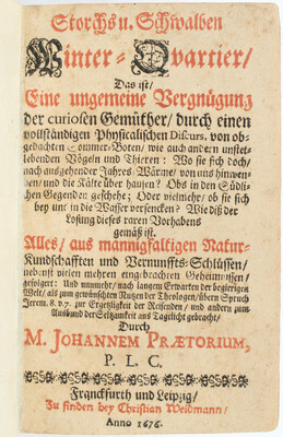 Praetorius, Storchs und Schwalben