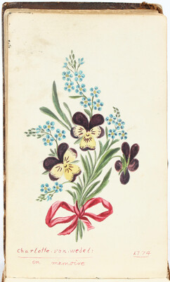 Album amicorum des Erhard Gustav v. Wedel