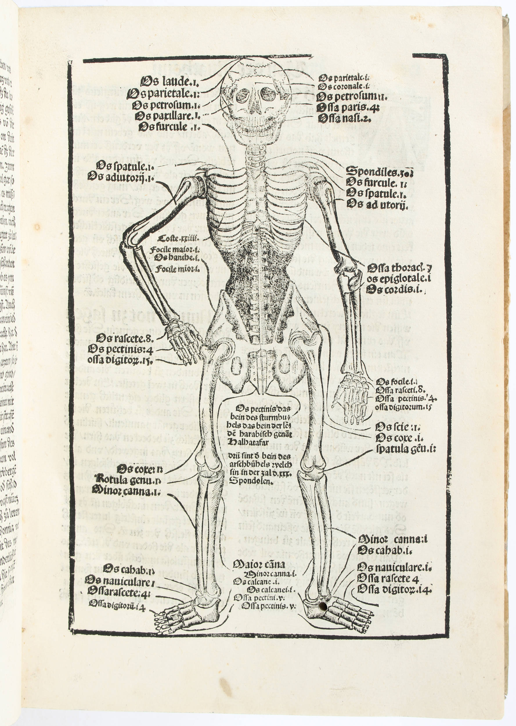 Brunschwig, Wund-Artzeny