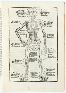 Brunschwig, Wund-Artzeny