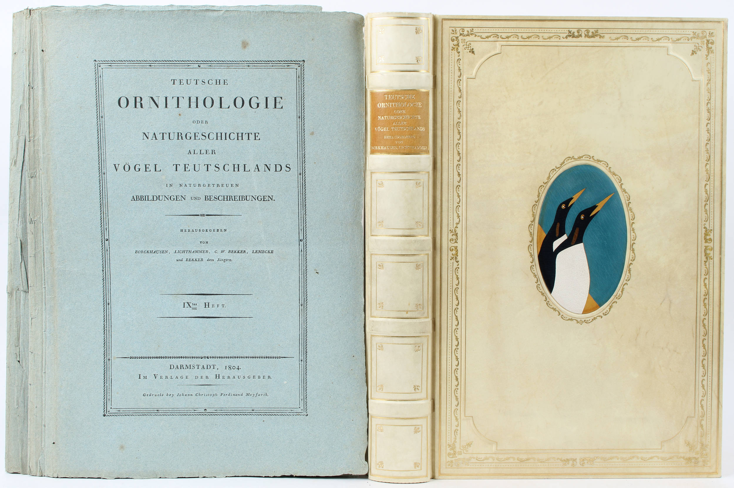 Susemihl, Teutsche Ornithologie