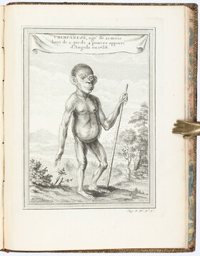 Prévost, Histoire générale Bd. 5