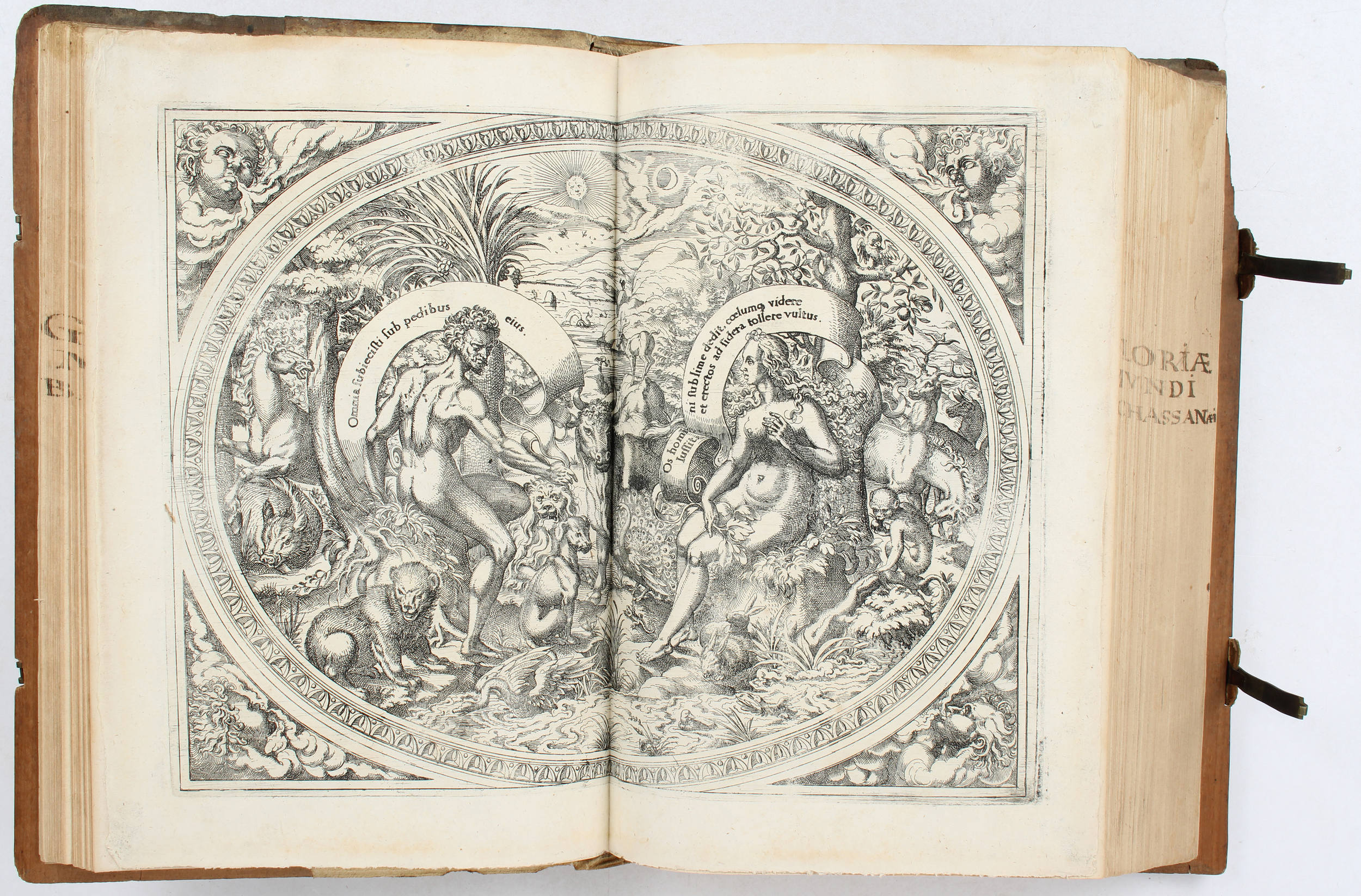 Chasseneux, Catalogus gloriae mundi