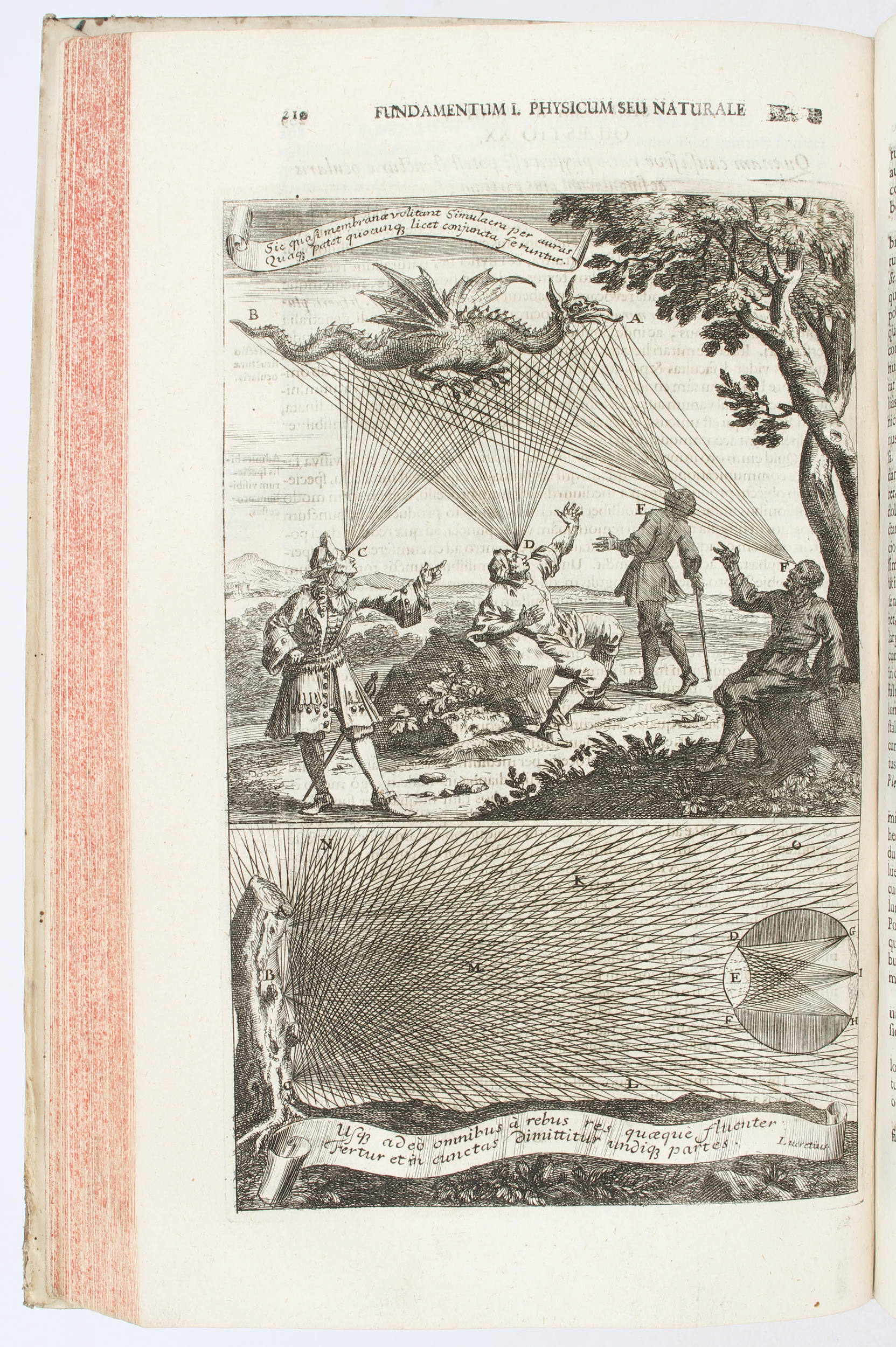 Zahn, Oculus artificialis 1702