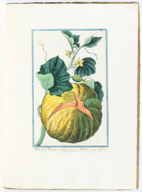 Bonelli, Hortus Romanus I-V. 5 Bde.