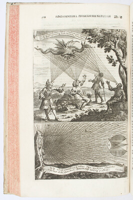 Zahn, Oculus artificialis 1702