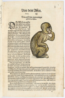 Gesner, Thierbuch - Vogelbuch - Fischbuch