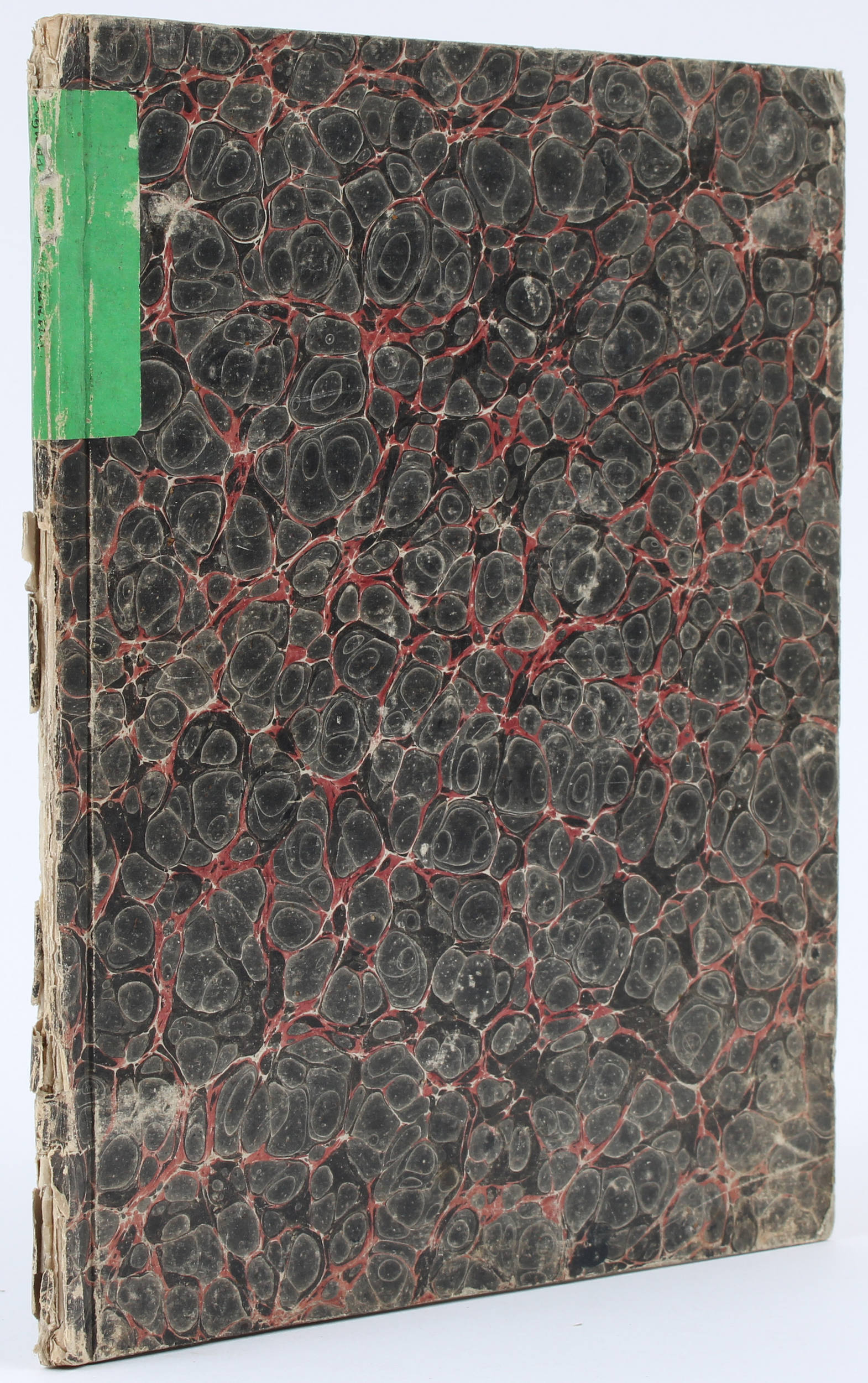 Gaurico, Aeglogae due aureae