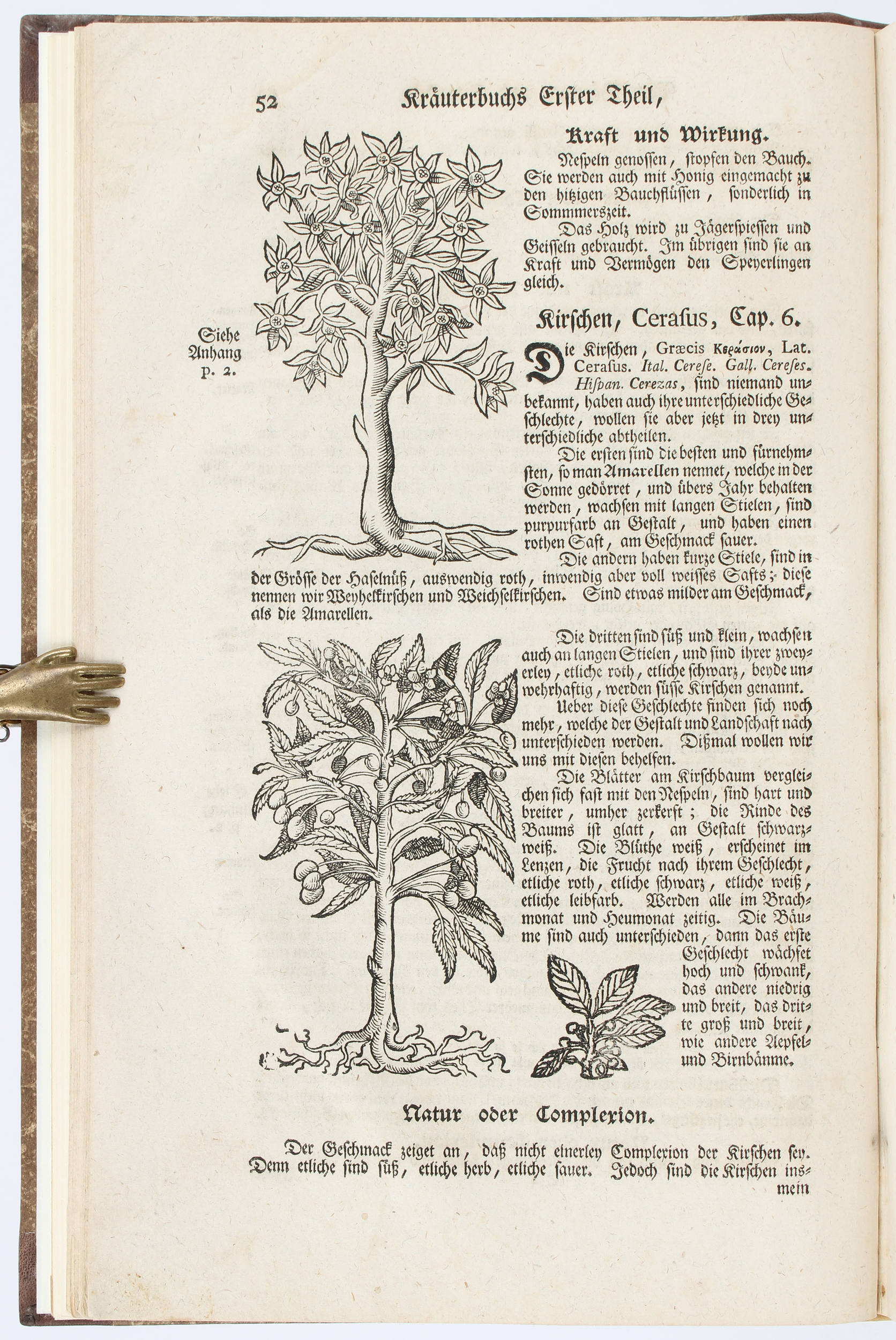 Lonicer, Kräuterbuch 1783