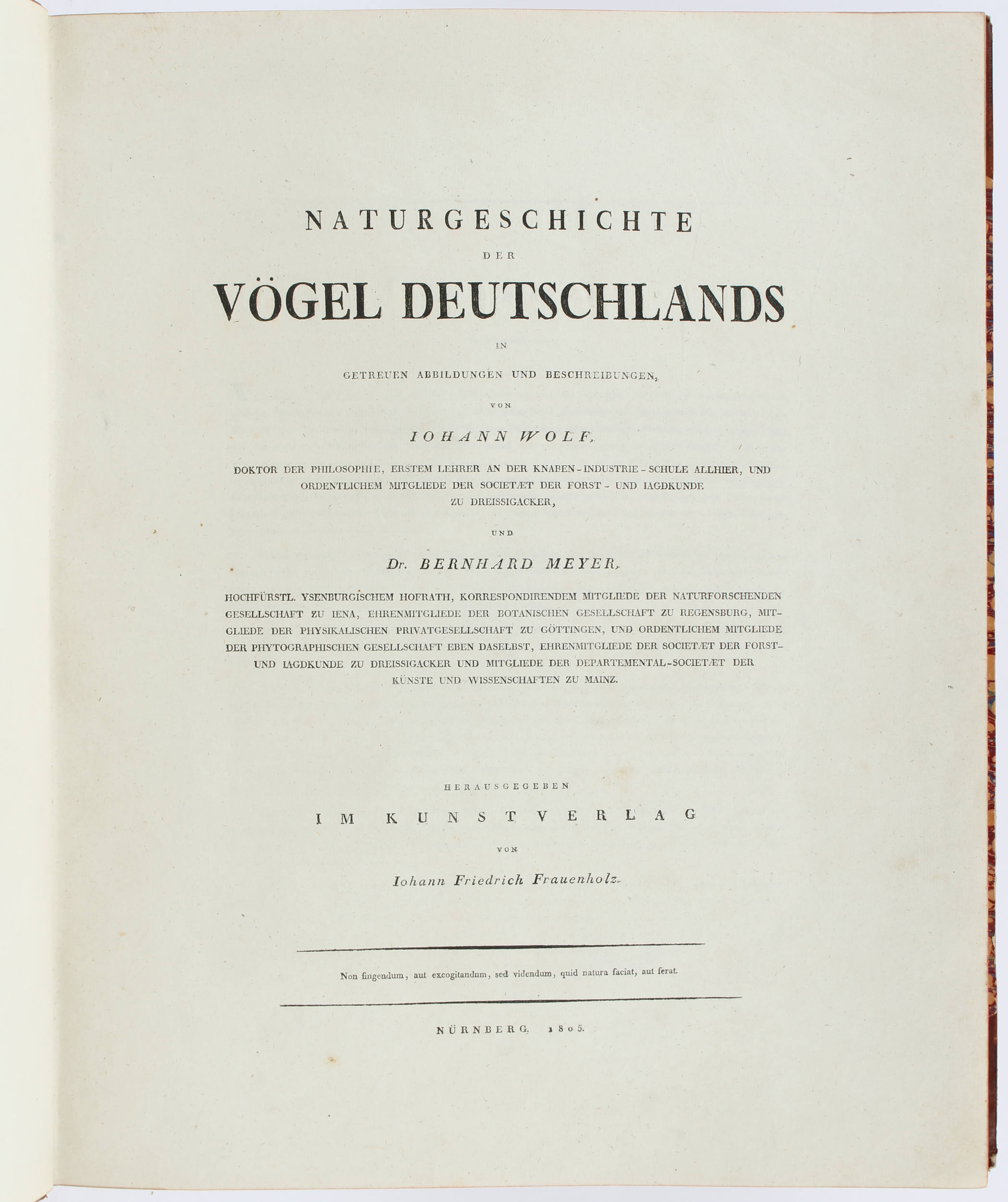 Wolf & Meyer, Vögel Deutschlands in getreuen Abbildungen