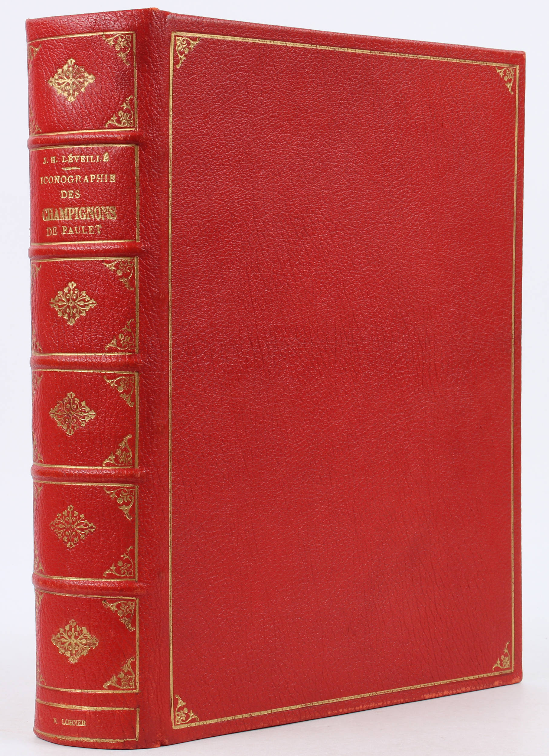 Paulet & Léveillé, Iconographie des Champignons
