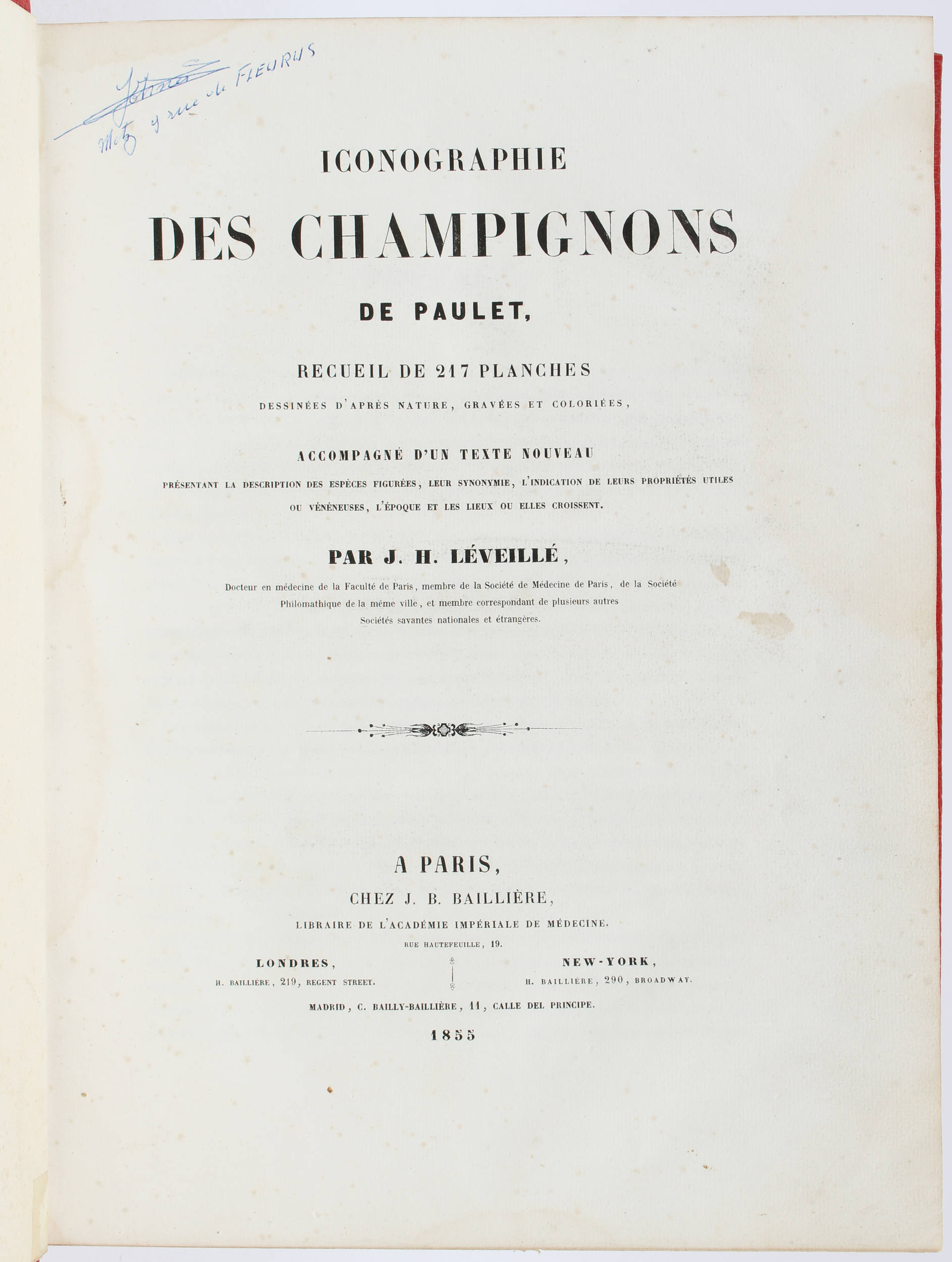 Paulet & Léveillé, Iconographie des Champignons