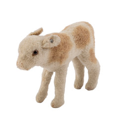 700.20: Teddies