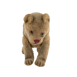700.20: Teddies