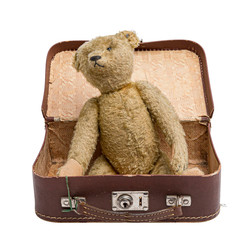 700.20: Teddies