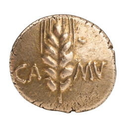 Kelten, Trinovantes und Catuvellauni (Britannien) - Stater, um 8-41 n ...
