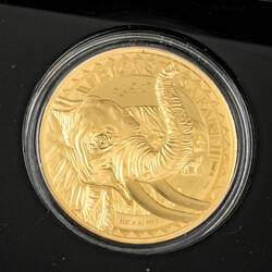 African Safari II. 1-Ounce Gold Elephant 2021 Proof. Republic of Chad ...