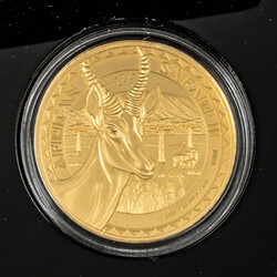 African Safari II. 1-Ounce Gold Antelope 2023 Proof. Republic of Chad ...