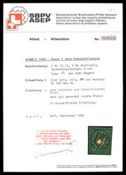 Type 25 in graublauer Nuance; mit dem seltenen schwarzen P.P. im ...