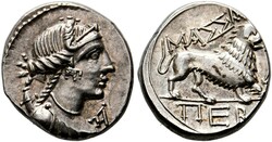 10.10.30: Ancient Coins - Celtic Coins - France