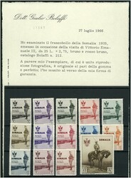 Italienisch Somaliland 1903-1938, schöne Teilsammlung auf 8 ...