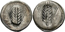 10.20.100.20: Ancienne - grecs - Lucanie - Metapontum