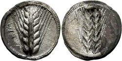 10.20.100.20: Ancienne - grecs - Lucanie - Metapontum