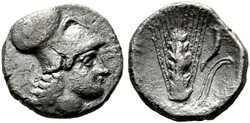 10.20.100.20: Ancienne - grecs - Lucanie - Metapontum