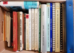 8700500: Literatur Motive