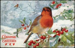 EARLY CHRISTMAS CARDS: A carton containing 5 albums holding a ...