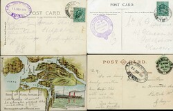 FAIRY QUEEN & "LORD OF THE ISLES" (PURPLE OR BLACK) HAND-PICKED ...