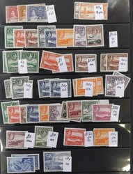 LARGE COMMONWEALTH KGVI MINT ASSORTMENT: A wide-ranging duplicated ...