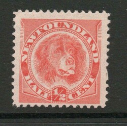 1898 | NEWFOUNDLAND DOG SG 62 1/2 C ORANGE VERMILLION L/M/MIN FINE ...