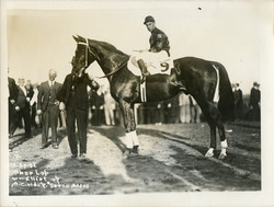 850.68.55: Varia - Sport - Equestrian sport