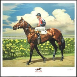 850.68.55: Varia - Sport - Equestrian sport