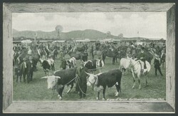 1750: Australien