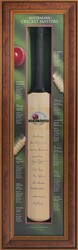 Australian Cricket Masters cricket bat with 11 signatures including ...