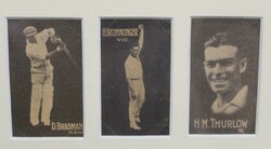 1930-31 Australian (Giant Brand) Licorice 'Australian Cricketers' ...